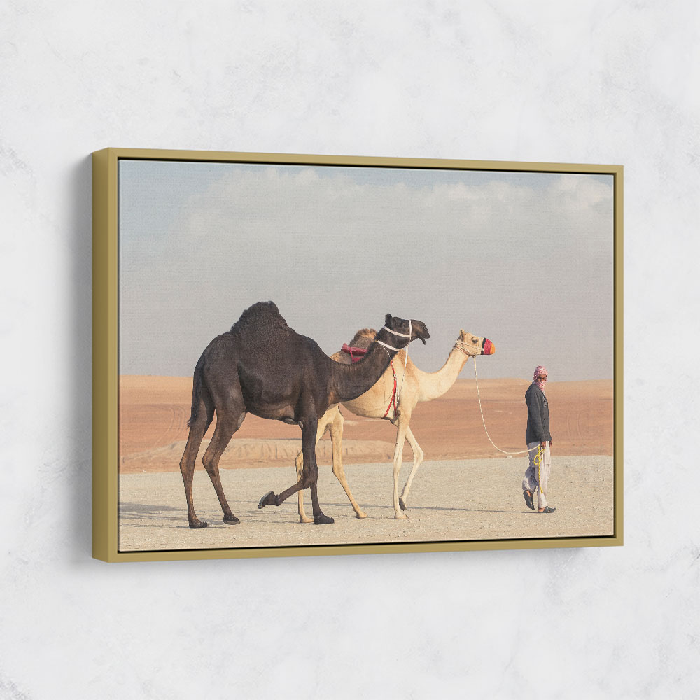 Black White Camels Wall Art